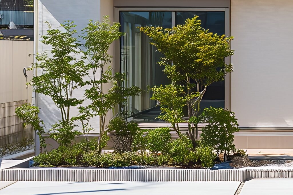 リビングの掃き出し窓の前に設けた植栽帯。モミジと下草